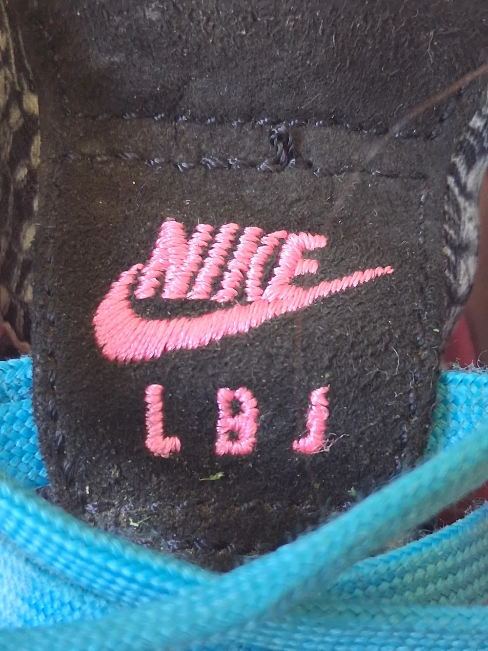 Nike Lebron eye catching
